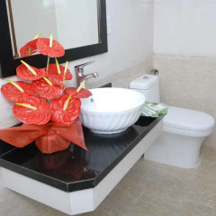 Chariot Hotel Ханой ванная фото 2