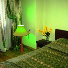 Mini Hotel Bambuk 2* Номер Эконом двуспальная кровать фото 2