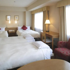 Daiichi Hotel Ryogoku 3* Стандартный номер с двуспальной кроватью фото 6