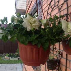 Гостиница Homestay Prusskaya фото 3