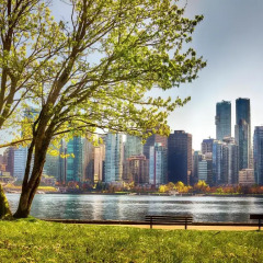 Отель Pinnacle Hotel Harbourfront Канада, Ванкувер - отзывы, цены и фото номеров - забронировать отель Pinnacle Hotel Harbourfront онлайн приотельная территория фото 2