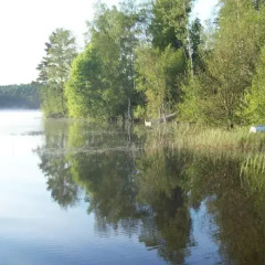 Отель Landvetter Bed & Breakfast Швеция, Ландветтер - отзывы, цены и фото номеров - забронировать отель Landvetter Bed & Breakfast онлайн приотельная территория