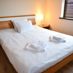 Апартаменты Apartment in Royal Bansko комната для гостей