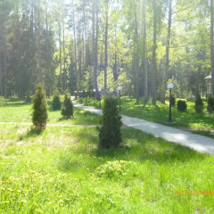 Гостиница Дом творчества Архитектор в Санкт-Петербурге 1 отзыв об отеле, цены и фото номеров - забронировать гостиницу Дом творчества Архитектор онлайн Санкт-Петербург фото 3