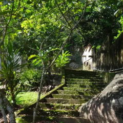 Отель French Lotus Unawatuna Guest House Унаватуна фото 7