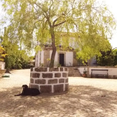 Отель Casa Da Capela De Cima Армамар