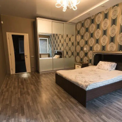 Гостиница Baskan'in Malikanesi Апартаменты фото 7