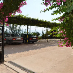 Отель Vila Alvin Албания, Саранда - отзывы, цены и фото номеров - забронировать отель Vila Alvin онлайн парковка