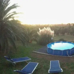 Отель Agriturismo Greppo All'olivo Кастаньето-Кардуччи фото 2