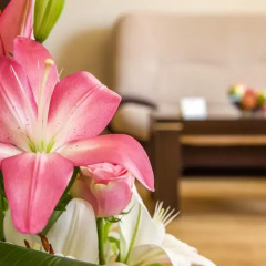Hotel Laguna Park & Aqua Club - All Inclusive 4* Люкс фото 4