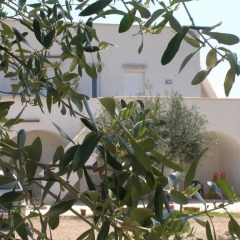 Отель B&B Quattrolinari Конверсано фото 11