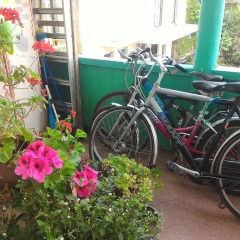 Отель Хостел Green Stairs Грузия, Тбилиси - 14 отзывов об отеле, цены и фото номеров - забронировать отель Хостел Green Stairs онлайн спортивное сооружение