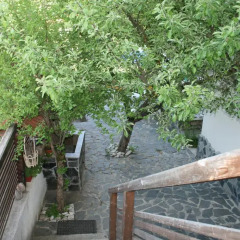 Отель Guest House Kamenik Болгария, Чепеларе - отзывы, цены и фото номеров - забронировать отель Guest House Kamenik онлайн фото 8