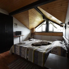 Гостиница Куршале Стандартный номер разные типы кроватей фото 7