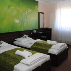 Green Hotel Budapest 4* Стандартный номер с двуспальной кроватью фото 8