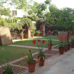 Отель Jaipur Inn фото 2