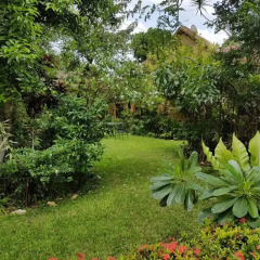 Отель Highbury Colombo Шри-Ланка, Коломбо - отзывы, цены и фото номеров - забронировать отель Highbury Colombo онлайн фото 14