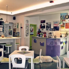 Chic Hostel развлечения