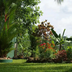 Отель Lanka Rose Guest House Шри-Ланка, Берувела - отзывы, цены и фото номеров - забронировать отель Lanka Rose Guest House онлайн фото 15