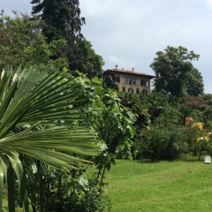 Отель Albergo Villa Azalea Италия, Вербания - отзывы, цены и фото номеров - забронировать отель Albergo Villa Azalea онлайн фото 2
