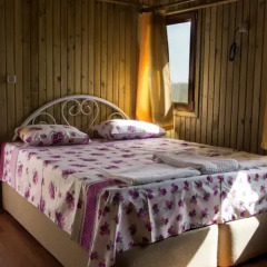 Отель Tree Houses комната для гостей фото 5