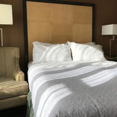 The Watson Hotel Номер категории Эконом с различными типами кроватей