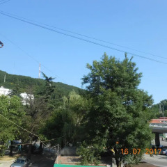 Гостиница Guesthouse Kalarasha фото 2