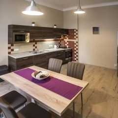Отель Charles IV Apartments Чехия, Прага - отзывы, цены и фото номеров - забронировать отель Charles IV Apartments онлайн в номере фото 2