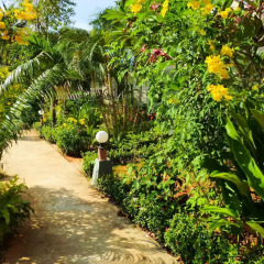 Отель The Krabi Forest Homestay 2* Стандартный номер с различными типами кроватей фото 20
