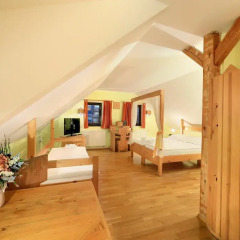 Hotel Garni Myší Díra 3* Номер Делюкс фото 14