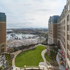 Отель Mandarin Oriental, Washington D.C. США, Вашингтон - отзывы, цены и фото номеров - забронировать отель Mandarin Oriental, Washington D.C. онлайн балкон