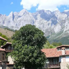 Отель Apartamentos Rurales Los Picos de Redo Испания, Камалено - отзывы, цены и фото номеров - забронировать отель Apartamentos Rurales Los Picos de Redo онлайн фото 11