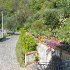 Отель B&B Il Chioso Аулла фото 10
