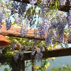 Отель Milleglicini Casa Vacanze Сполето фото 2