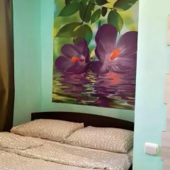 Mini-Hotel Na Beregah Nevy Номер с общей ванной комнатой с различными типами кроватей (общая ванная комната) фото 12