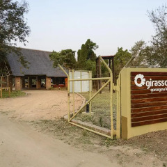 Отель Montebelo Gorongosa Lodge & Safari развлечения