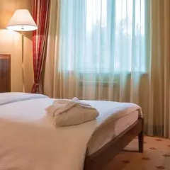 Grand Tien Shan Hotel 4* Стандартный номер с различными типами кроватей фото 4