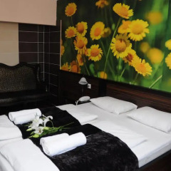 Green Hotel Budapest 4* Стандартный номер с двуспальной кроватью фото 11
