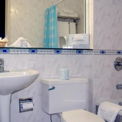 Congress Plaza Hotel 3* Стандартный номер с различными типами кроватей фото 5