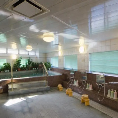 Beppu Station Hotel Беппу интерьер отеля фото 2