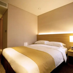 The Summit Hotel Seoul Dongdaemun 3* Стандартный номер с двуспальной кроватью фото 8