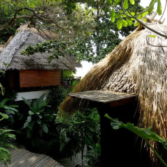 Отель Thipwimarn Resort Koh Tao 3* Студия с различными типами кроватей фото 2