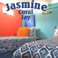 Отель Jasmine Coral Jay Номер категории Эконом с 2 отдельными кроватями фото 9