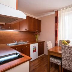 Отель City Hotel Budapest - Aparthotel Венгрия, Будапешт - 10 отзывов об отеле, цены и фото номеров - забронировать отель City Hotel Budapest - Aparthotel онлайн в номере фото 2