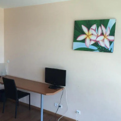Отель Tahiti Airport Motel Французская Полинезия, Фааа - 1 отзыв об отеле, цены и фото номеров - забронировать отель Tahiti Airport Motel онлайн удобства в номере фото 2