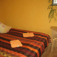 Central Park Hostel Стандартный номер с двуспальной кроватью (общая ванная комната) фото 7
