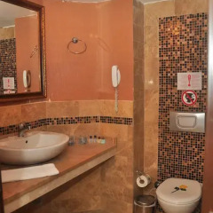 Tac Premier Hotel & Spa 4* Стандартный номер с различными типами кроватей фото 8