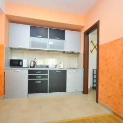 Апартаменты Apartments Adzic Lux Улучшенные апартаменты с различными типами кроватей