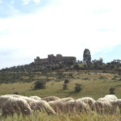 Отель Casa De Terena пляж