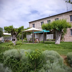 Отель Agriturismo Case al Sole Италия, Лорето - отзывы, цены и фото номеров - забронировать отель Agriturismo Case al Sole онлайн фото 16